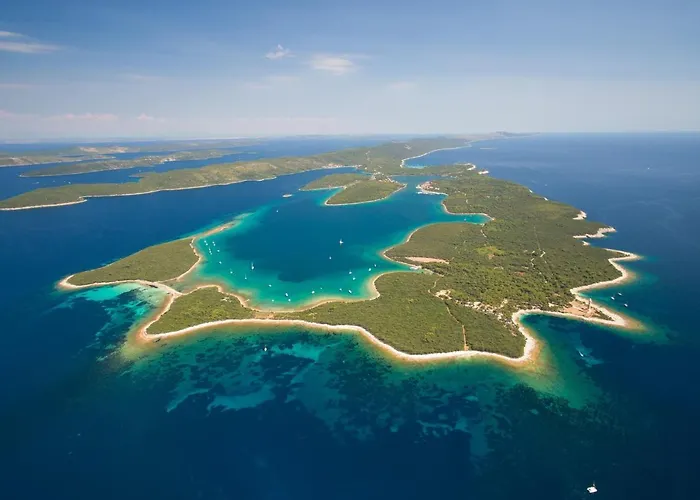 Sun House - Happy Dragove